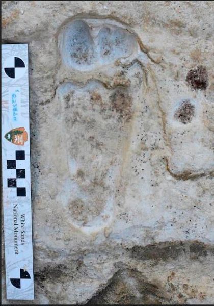 Footprints at the base of trench in White Sands National Park. (Source: USGS)