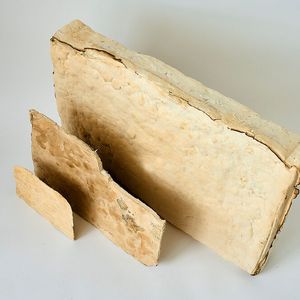 Flexible Myzelmaterialien in unterschiedlicher Dicke können als Polstermaterial, Dämmplatte oder Lederalternative verwendet werden.(Bild:  Fraunhofer IAP, Jadwiga Galties)