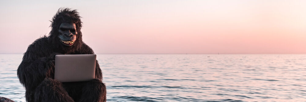 Witze über Informationstechnologie