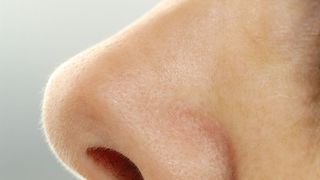 Diverse unterschiedliche Gerüche zu unterscheiden, ist für die menschliche Nase kein Problem. (Quelle: Helios-Kliniken) (Archiv: Vogel Business Media)