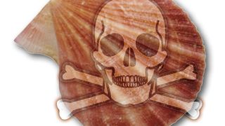  (Archiv: Vogel Business Media)