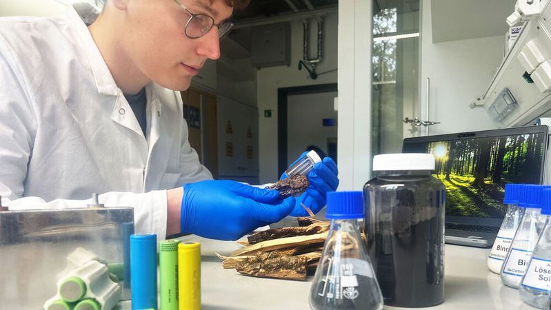 Bisher konnte Holz als Batteriebestandteil aufgrund von Qualitätsschwankungen nicht verwendet werden. Forscher wollen das nun ändern. (Bild:  Hochschule Aalen | Frida Akulova)