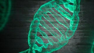 Deutschland ist bei Gen-, Zell- und Gewebetherapien weit hinter USA und China - doch mit Aufholpotenzial. (gemeinfrei)