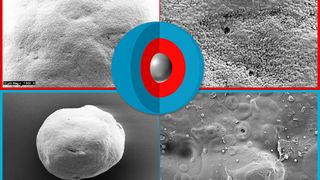 Glatt_Layering_Laktobazillen_Magensaftresistentes_Schutzcoating.jpg (Glatt Ingenieurtechnik GmbH)