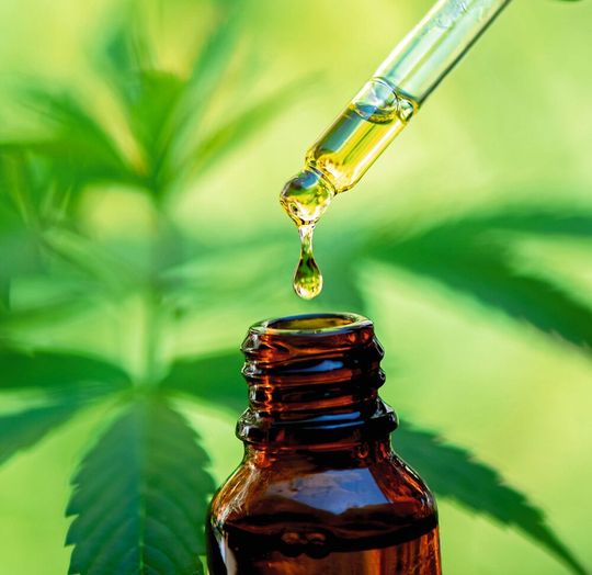 CBD-Öle bestehen aus einem komplexen Gemisch chemischer Substanzen. Mithilfe der Headspace-GC/MS kann untersucht werden, was bei der Alterung passiert. CBD-Öle bestehen aus einem komplexen Gemisch chemischer Substanzen. Mithilfe der Headspace-GC/MS kann untersucht werden, was bei der Alterung passiert.