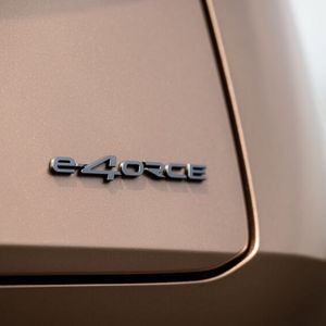 Das Allrad-Modell gibt es nur mit großer Batterie, aber in zwei Leistungsstufen.(Bild:  Nissan)