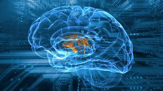 Innerhalb der Telekommunikationsbranche kommen KI-basierende Technologien wie digitale Assistenten (61 %) bereits häufig zum Einsatz. (christian42 - stock.adobe.com)