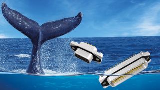 beitragsbildweb-neu-1772x1181pxweb80-1772x997v1 (Bild: Conec)