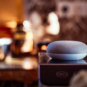 (© DaveFerencik – stock.adobe.com)