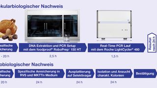 Abb.1: Vergleich der Workflows beim molekularbiologischen und mikrobiologischen Nachweis (nach ISO 6579) von Salmonella (Bilder: Biotecon Diagnostics)