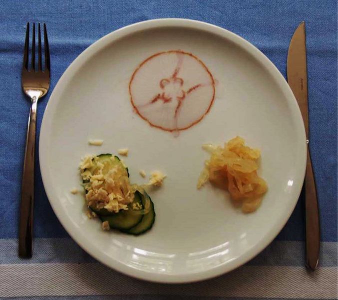 Essen der Zukunft? Quallen könnten das Nahrungsangebot des Menschen erweitern, wenn es nach Forschern der dänischen Syddansk Universität geht. Hier gezeigt: das komplette Tier (oben) sowie Quallenfleisch in geschredderter, in Salz eingelegter Form.   Auch Wissenschaftler am Leibniz-Zentrum für Marine Tropenforschung (ZMT) untersuchen das Nährwertpotenzial von Quallen für die Ernährung des Menschen.   Originalpublikation: M. T. Pedersen, J. R. Brewer, L. Duelund, P. L. Hansen: On the gastrophysics of jellyfish preparation, International Journal of Gastronomy and Food Science, Volume 9, October 2017, Pages 34-38, DOI: 10.1016/j.ijgfs.2017.04.001  Mehr Infos zum Thema gibt es in dem Begleitartikel: Vom Labor auf die Speisekarte: Lebensmittel von morgen (Pedersen et al., DOI: 10.1016/j.ijgfs.2017.04.001)