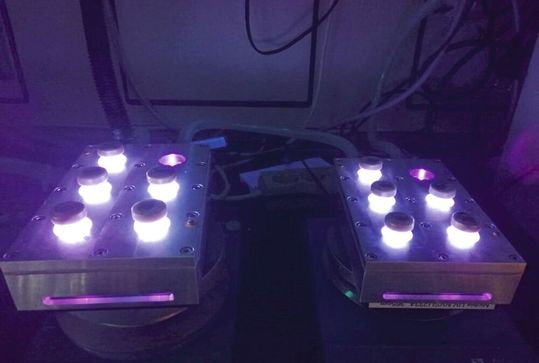DNA wird mit UV-Strahlung aus LEDs bestrahlt, um zu untersuchen, wie weit die Lichtenergie darin wandert. DNA wird mit UV-Strahlung aus LEDs bestrahlt, um zu untersuchen, wie weit die Lichtenergie darin wandert.