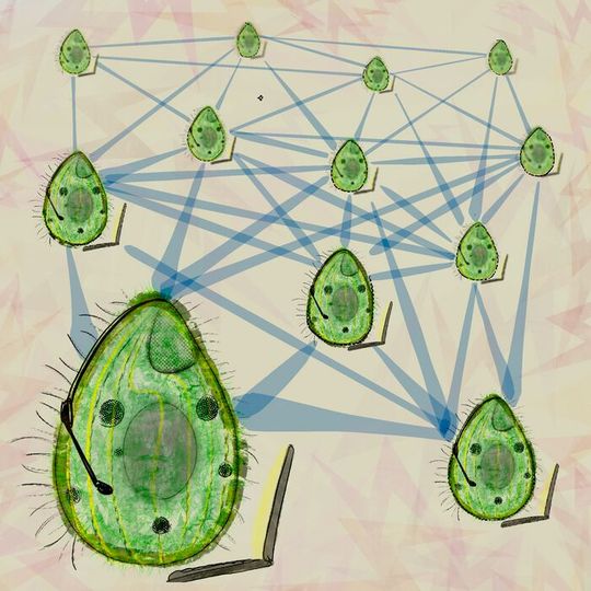 Information processing capacity of natural ecosystem give clues to how ecosystem dynamics are maintained. Information processing capacity of natural ecosystem give clues to how ecosystem dynamics are maintained.