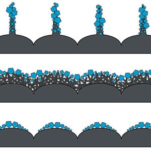 Die schematische Illustration verdeutlicht die unterschiedliche Bildung von Eiskristallen auf einem Blatt mit Härchen (oben), einem Blatt mit einer Wachsschicht (Mitte) und einem fast glatten, ungeschützten Blatt (unten). (Bild:  Elena Gorb)