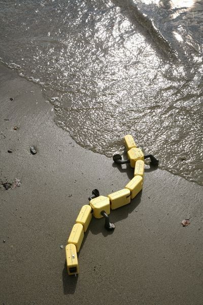 Der Robo-Salamander kriecht und schwimmt und kann seine äußere Form sehr schnell verändern (Bild: Kostas Karakasiliotis, Biorobotics Laboratory, EPFL)