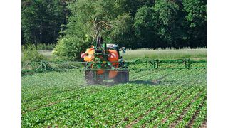 Pesticides used in agriculture contribute to biodiversity loss. (Source: Markus Bernards/ Fair)