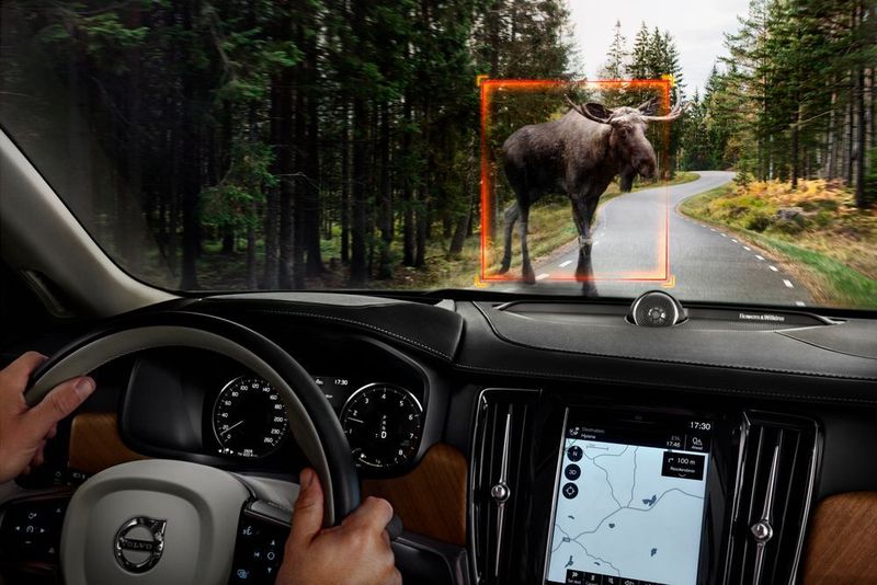 Das serienmäßige Volvo-City-Safety-Notbremssystem erkennt neben Fußgängern und  Fahrradfahrern auch Wildtiere und andere Autos.  (Volvo)