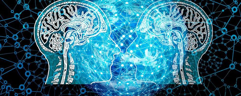 Forscher wollen herausgefunden haben, dass Entscheidungen vieler KI-Systeme nicht sehr intelligent sind.(Bild:   / CC0)