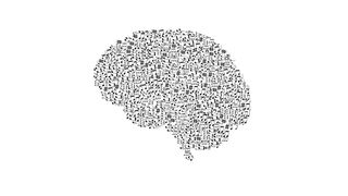 The study of the specific musical anhedonia determined that individual differences regarding musical rewards were related to the functional connectivity (different patterns of neuronal activation in different brain regions) in the auditory cortex. (CC0)