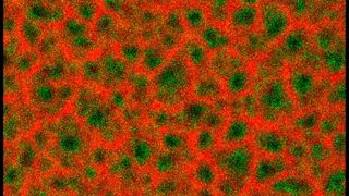 TEM-Aufnahme des npSi/PPy-Kompositmaterials (npSi = nanoporöses Silizium; Ppy = Polypyrrol).  (Bild: HZG/TUHH)