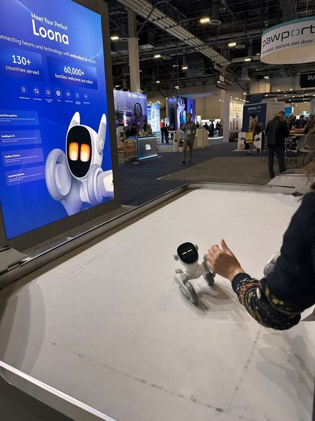 Kein Gassi nötig bei dem Haustier. (Bild: Vogel IT-Medien)