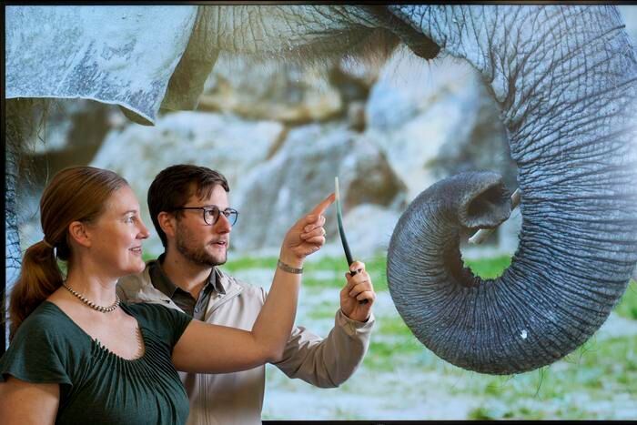 Photograph of Prof. Katherine J. Kuchenbecker (left) and Dr. Andrew K. Schulz (right) with the 3D-printed whisker wand that helped the research team understand how a functional gradient of material stiffness could facilitate contact sensing in elephant and cat whiskers. (Source: Wolfram Scheible)