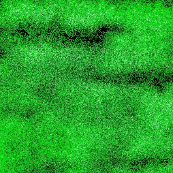 .... zu einem Biofilm aus, der die komplette Oberfläche eines Glasträgers überzieht. (Eingefärbte Mikroskopaufnahme) (Empa)