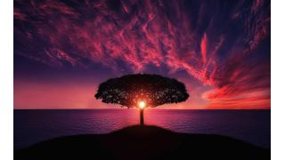 Die Sonne geht unter. (Bild: )