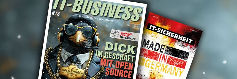 Lesen Sie die aktuelle Ausgabe der IT-BUSINESS. Den Link zum E-Paper finden Sie im Artikel.(Bild:  Vogel IT-Medien)