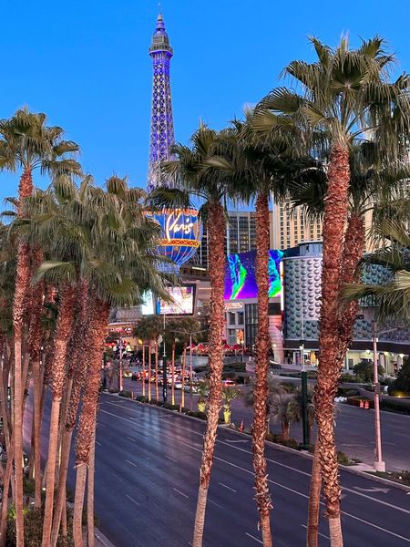 Goodbye Vegas - CU in...? (Bild: Vogel IT-Medien )