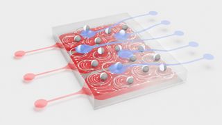 Ein Reservoir-Computer aus oszillierenden kolloidalen Teilchen (weiß/grau), die über Strömungen in einer Flüssigkeit miteinander gekoppelt sind. Eine äußere Anregung (rot) erzeugt eine kollektive Dynamik der Teilchen, aus der ein hochdimensionales Ausgangssignal (blau) entsteht. Abweichungen im zeitlichen Verlauf des Eingangssignals spiegeln sich darin wider und ermöglichen eine empfindliche Detektion von Anomalien.
 (Bild: © Veit-Lorenz Heuthe, Universität Konstanz)