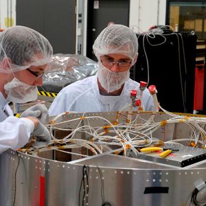 In Modellen untersuchen die Wissenschaftler das Verhalten der Tomatenpflanzen.(Bild:  DLR)