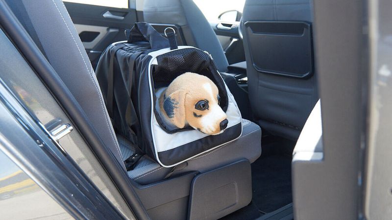 Bello, Wauzi und Co.: Dass sich Menschen im Auto anschnallen, ist selbstverständlich. Doch beim Transport von Hunden wird die Sicherheit oft vernachlässigt. Welche Transportsysteme für die Vierbeiner am besten geeignet sind, und wo sie am sichersten sitzen, haben die ADAC-Techniker überprüft. (Bild: ADAC)