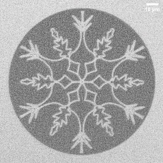 Un flocon de neige créé à l'aide d'un rayon laser.Cette structure magnétique a été générée au PSI à l'aide d'un laser industriel, non pas à des fins décoratives, mais pour démontrer la possibilité de modifier précisément des matériaux, ce qui présente un potentiel pour le stockage de données, l'IA et la photonique. (Source : PSI/ Aleš Hrabec, Lauren Riddiford, Jeffrey Brock)