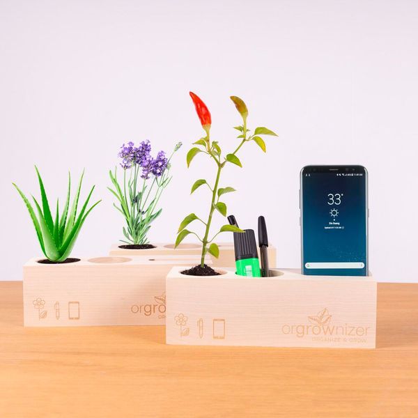 Der „Orgrownizer“ ist ein Schreibtisch-Organizer mit Pflanze und kostet bei Radbag.de 22,95 Euro. (Bild: Radbag.de)