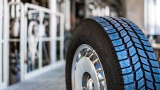 Neuartige, biobasierte Kautschuktypen sollen künftig Autoreifen mit bisher unerreichten Eigenschaften ermöglichen. (Bild: Fraunhofer IAP/Till Budde)