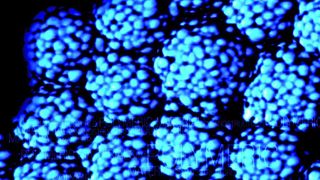 Abb. 1: Nanopartikel vermitteln u.a. die Funktion als Nanocomposites: Homogen in organische Polymerteilchen eingearbeitet und fixiert, erzeugen sie hier ein ideales Eigenschaftsprofil bei Fassadenfarben.  (Bild: BASF)