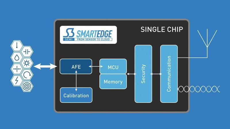 Gut kombiniert: Die Smart-Edge-Plattform vereinfacht das Design kundenspezifischer Chips, die viele Funktionsgruppen integrieren. (Adesto)