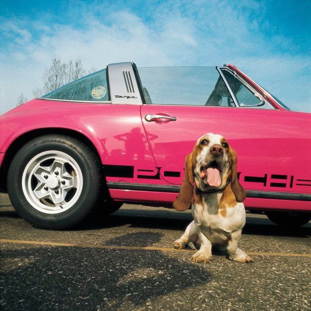 Auf den Hund gekommen: Mit dem Targa-Konzept schuf Porsche ein sichere Alternative zum klassischen Cabrio.