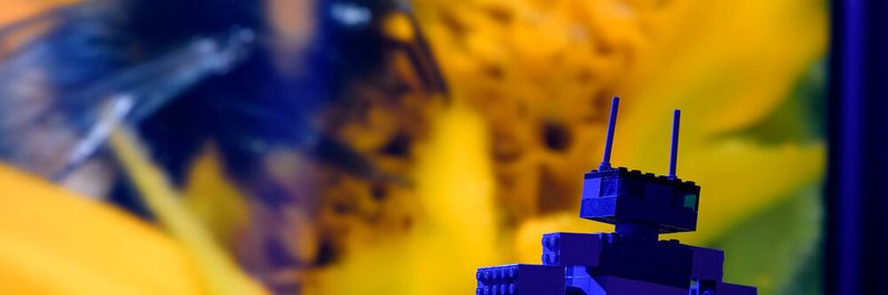 Bilder zu erkennen, die sie noch nie gesehene haben, für Maschinen heute eine schwierige Aufgabe.(Bild:  Roberto Schirdewahn)