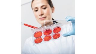 „Take Good Care of Your Cells“ ist Fokusthema von Eppendorf auf der diesjährigen Biotechnica (Bild: Eppendorf)