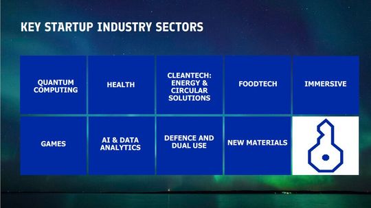 Das sind die Bereiche, in denen sich die Startups hauptsächlich wiederfinden. (Bild:  Business Finland)