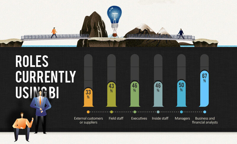 Die Grafik zeigt, wer im Unternehmen Business-Intelligence-Lösungen einsetzt. (Bild: Information Builders)