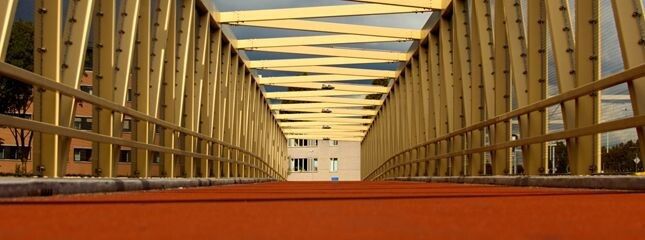 Das Fahrbahndeck besteht aus duroplastischen Faserverbundplatten. (Bild: DSM)