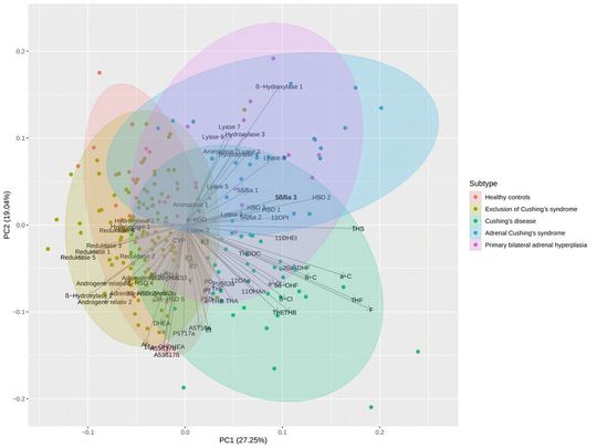 Das Muster der Steroidhormone (Pfeile), die Verteilung der Patientinnen und Patienten (Punkte) und die ermittelten Cluster (farbige Flächen) weisen auf die Ursache des jeweiligen Cushing-Syndroms (Subtyp) hin.(Bild:  Jörn Pons-Kühnemann)