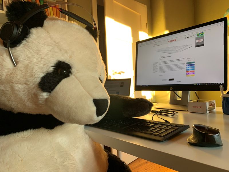 Bei Cherry tobt der Bär! Immerhin informiert er sich auf der richtigen Internetseite. (Bild: Cherry)