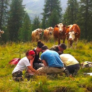 (Judith Ascher-Jenull)