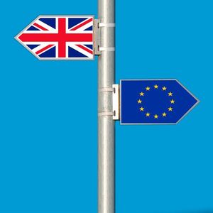 51,9 Prozent der britischen Wähler haben sich für einen Austritt aus der EU ausgesprochen.