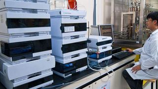 Mit der schnellen Chromatographie können bei vielen Applikationen bessere Ergebnisse erzielt werden. (Bild: Institute of Chemical & Engineering Sciences)