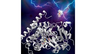 An artist's depiction of an artificially evolved enzyme breaking a silicon-carbon bond. (Source: Caltech/ Dow)